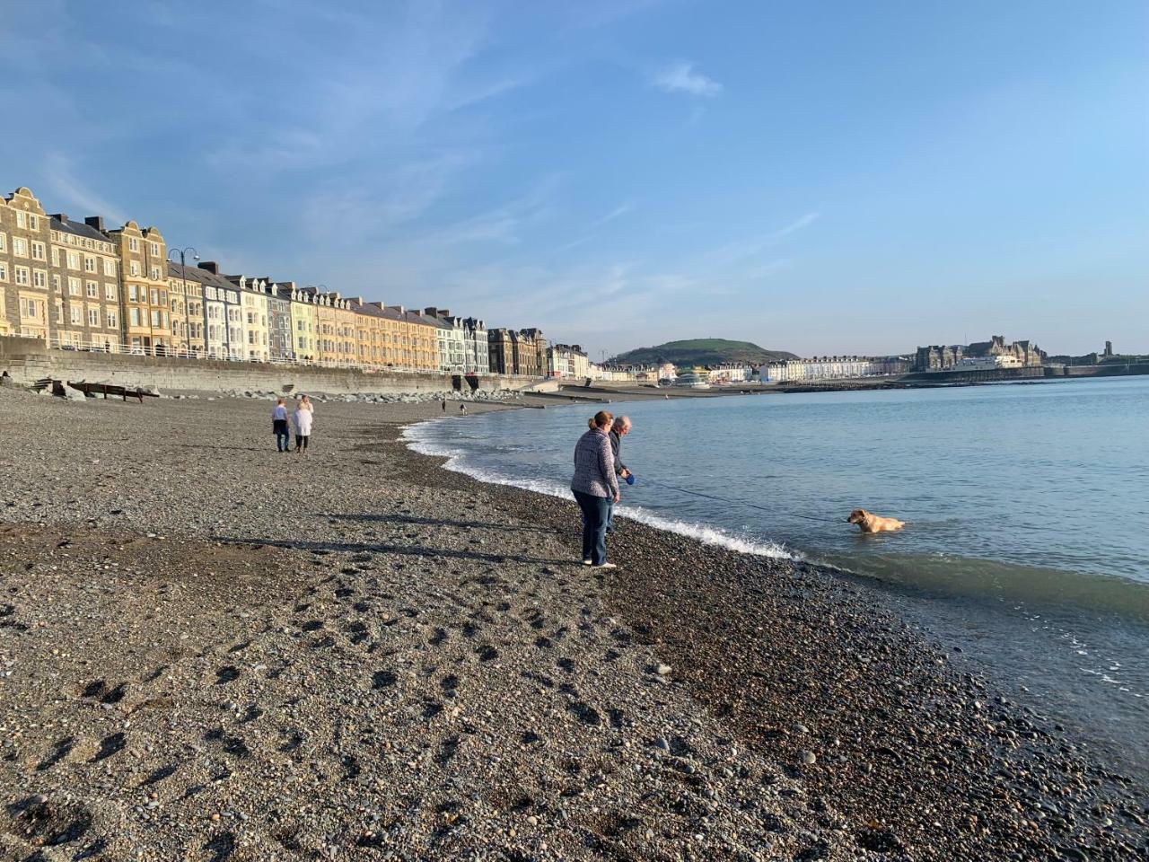 Cardigan Bay Self Catering Accommodation Aberystwyth Eksteriør bilde