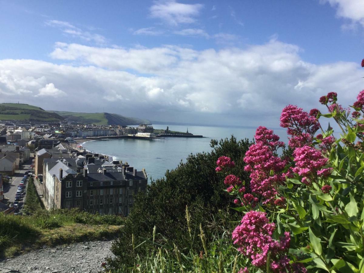 Cardigan Bay Self Catering Accommodation Aberystwyth Eksteriør bilde